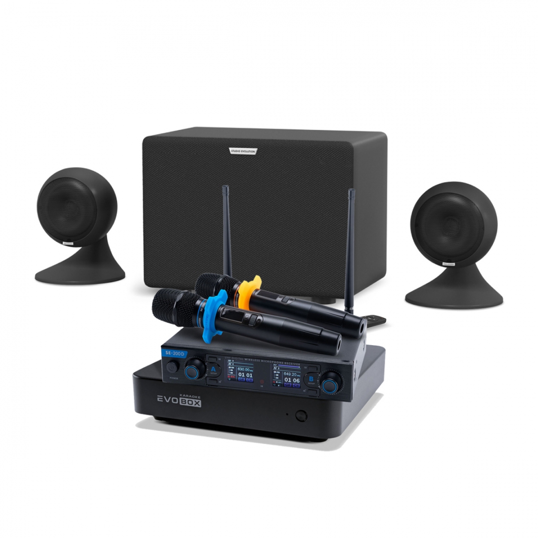 караоке-комплект EVOBOX + EvoSound Sphere 2.1 в Ипатово