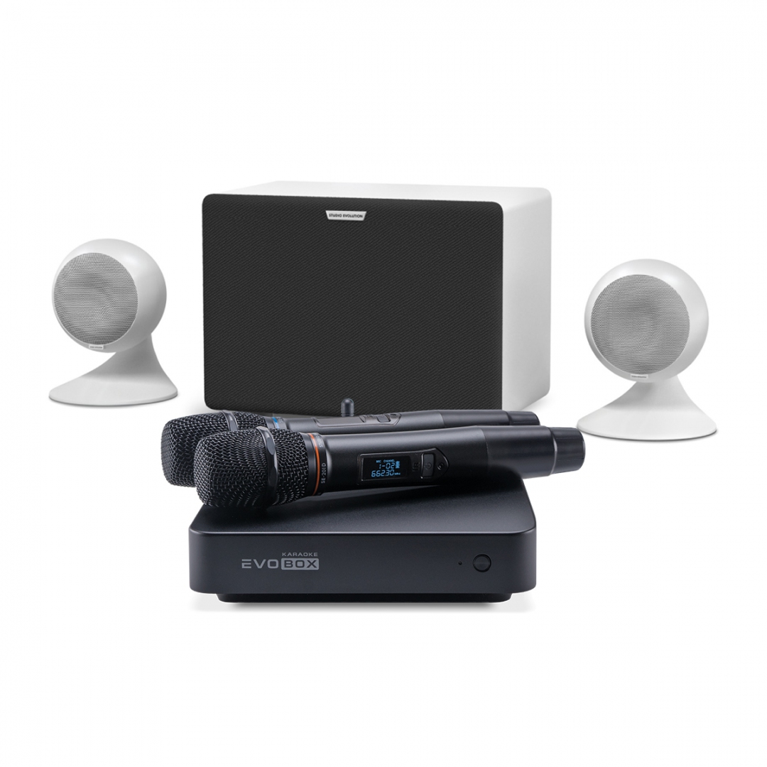 караоке-комплект EVOBOX Classic + EvoSound Sphere 2.1 в Ипатово