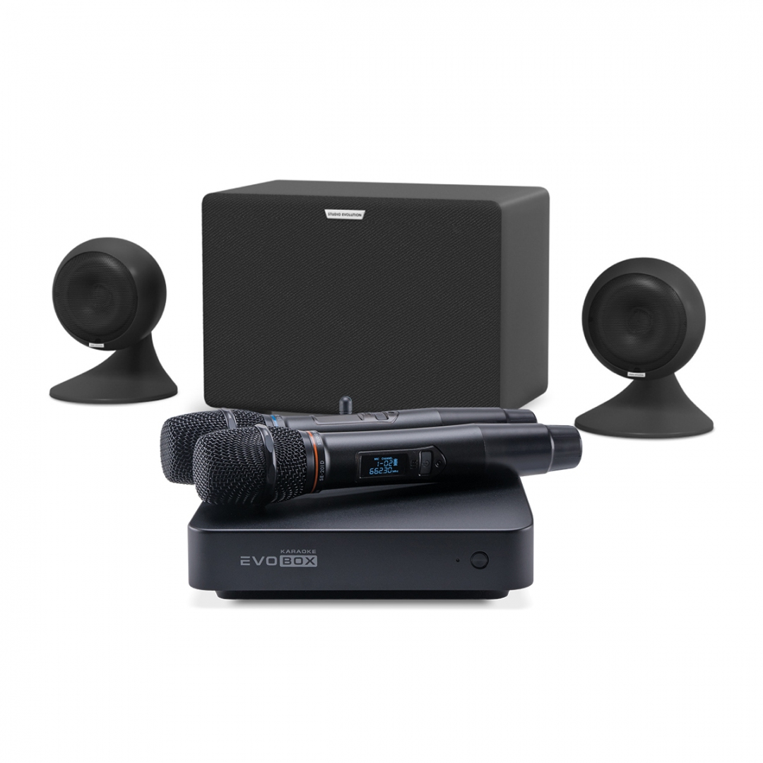 караоке-комплект EVOBOX Plus + EvoSound Sphere 2.1 в Ипатово