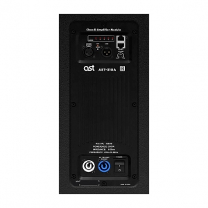 Активная акустическая система AST-310A в Ипатово