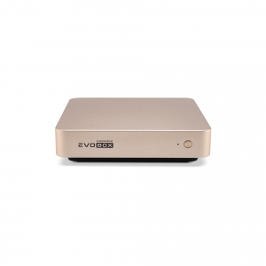 EVOBOX с микрофонами в Ипатово